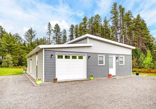 Bungalow à vendre - 45 Rue des Ronces, Sainte-Christine-d'Auvergne, G0A1A0