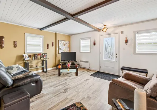 Maison à vendre - 45 Rue des Ronces, Sainte-Christine-d'Auvergne, G0A 1A0
