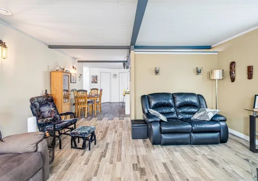 Maison à vendre - 45 Rue des Ronces, Sainte-Christine-d'Auvergne, G0A 1A0