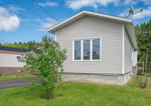 Loft for sale - 1185 Rue Dubé, St-Leonard-D'Aston, J0C 1M0