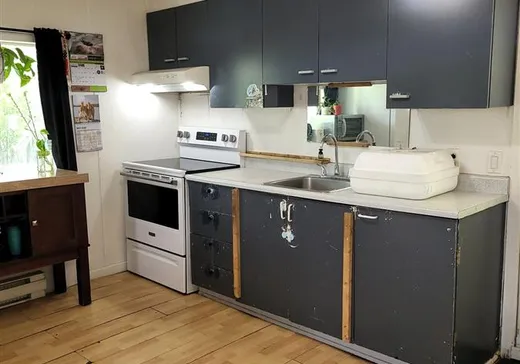 Maison à vendre - 7861 Av. Samuel N., Chertsey, J0K 3K0