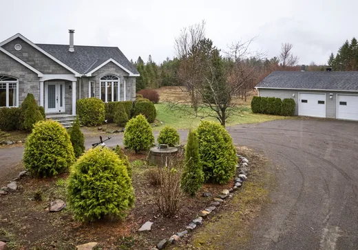 Maison à vendre - 2200 Rg St-Charles, Ste-Genevieve-De-Batiscan, G0X 3A0