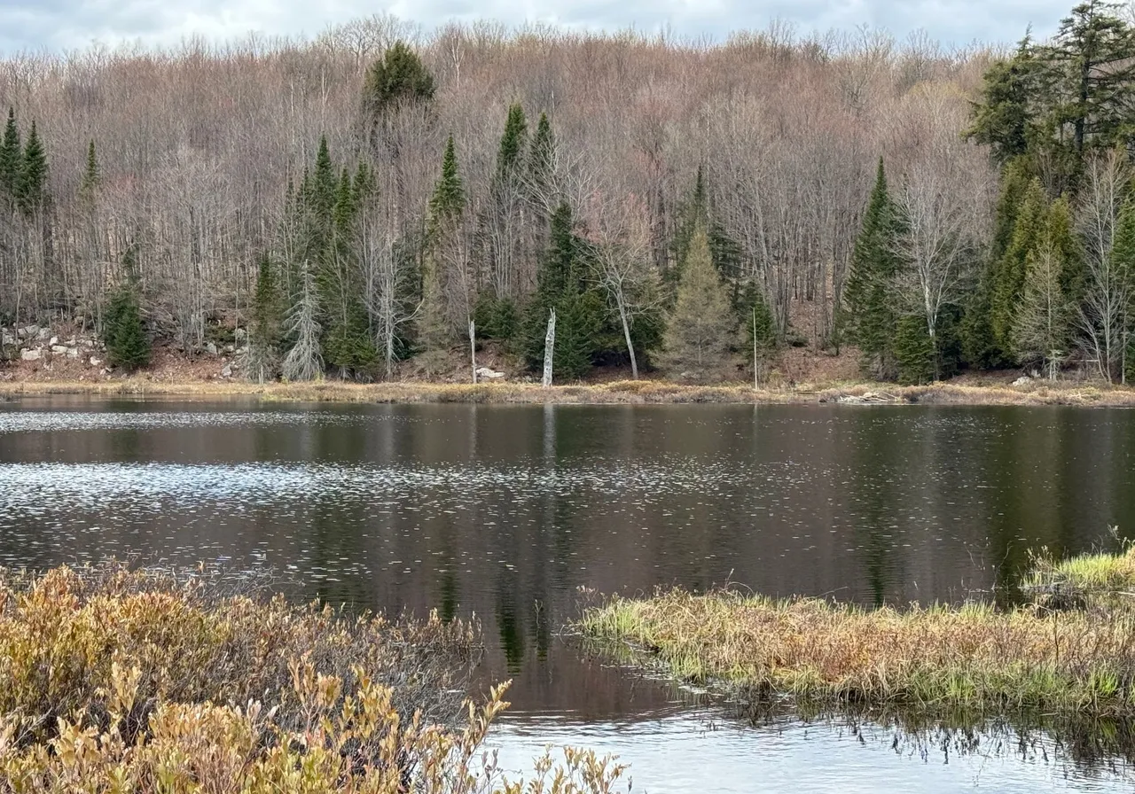 39 Ch. Scott — photo 2
