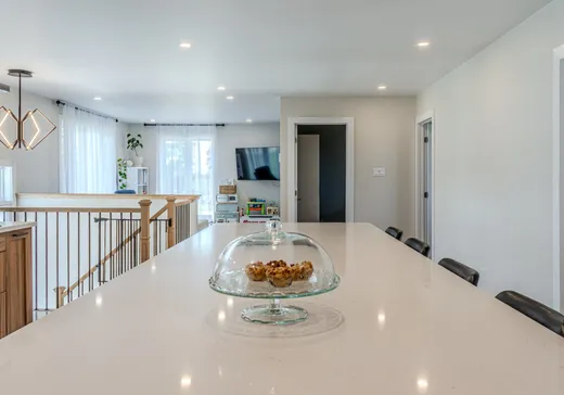 Maison à vendre - 193 Ch. de la Cité-des-Jeunes, Vaudreuil-Dorion, J0P 1S0