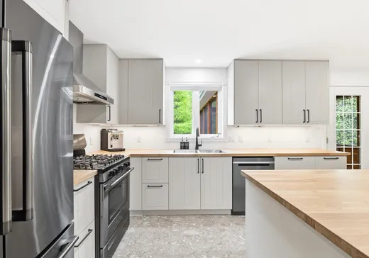 Maison à vendre - 160 Rue des Villageois, Mont-Blanc, J0T 2G0