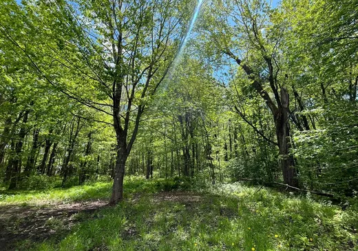 Maison à vendre - 198 Rue Tourigny, Plessisville, G6L 2Y4