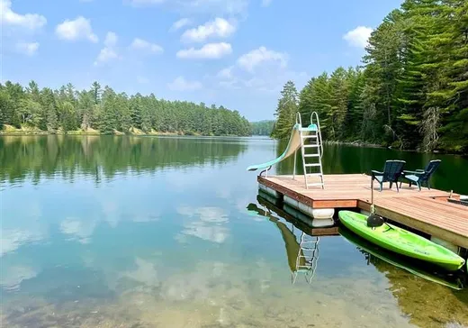 House for sale - 16 Ch. Presley, Danford Lake, J0X 1P0
