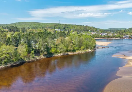House for sale - 160 Rue L'Allier, Mont-Tremblant, J0T 1H0