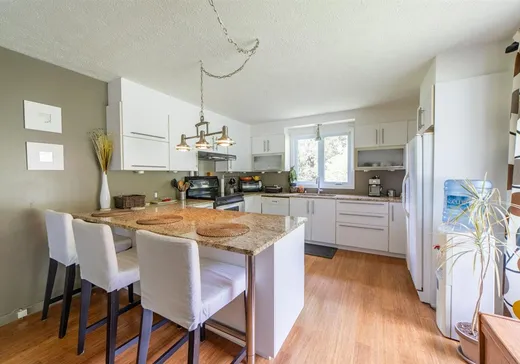 House for sale - 223 Rue Principale O., Dudswell, J0B 2L0