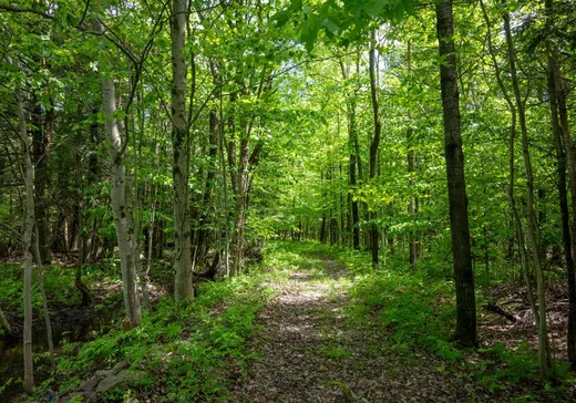 Hobby Farm for sale - 828Z 11e Rang, Granby, J2J 0P9