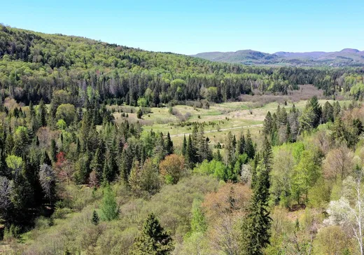 Fermette à vendre - 63Z Ch. Dubeau, Notre-Dame-de-la-Merci, J0T 1A0