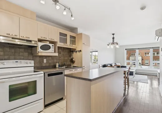 Condo à vendre - 4570 Rue Hochelaga, Montréal (Mercier/Hochelaga-Maisonneuve), H1V 1C5