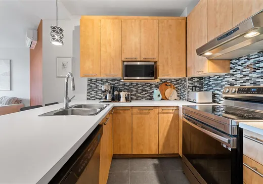 Condo for sale - 1311 Rue St-Grégoire, App. 306, Montreal (Plateau-Mont-Royal), H2J 4G4