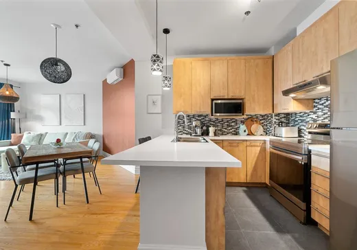 Condo for sale - 1311 Rue St-Grégoire, App. 306, Montreal (Plateau-Mont-Royal), H2J 4G4