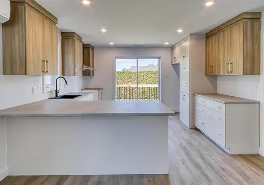 Maison à vendre - 293 Rue des Pétunias, Victoriaville, G6T 2G1