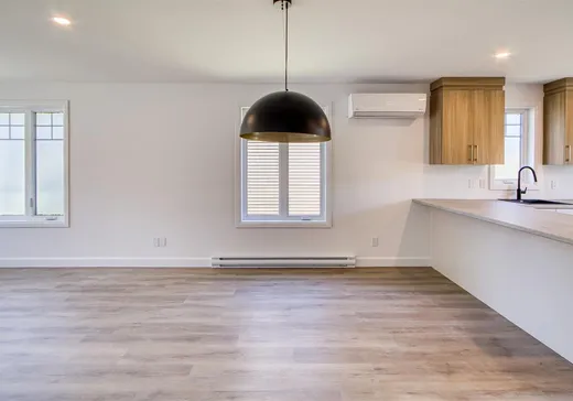 Maison à vendre - 293 Rue des Pétunias, Victoriaville, G6T 2G1