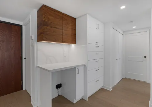 Condo for sale - 50 Rue Berlioz, Montreal (Verdun), H3E 1M2