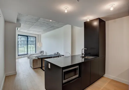 Condo à vendre - 1552 Rue des Bassins, App. 212, Montréal (Centreville), H3C 0Z3