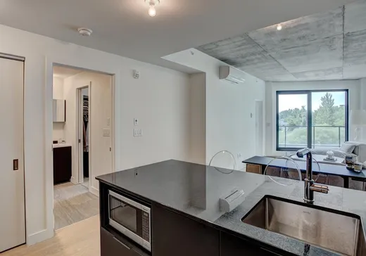 Condo à vendre - 1552 Rue des Bassins, App. 212, Montréal (Centreville), H3C 0Z3