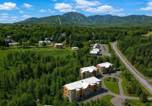 Condo for sale - 2620 Ch. du Parc, App. 3100, Magog, J1X7A2