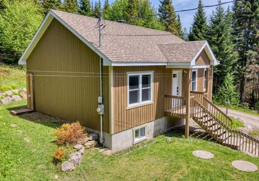 House for sale - 930 Ch. Gillespie, Sainte-Agathe-des-Monts, J8C 0X6