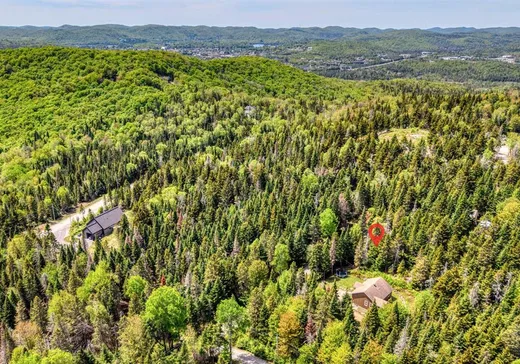 House for sale - 930 Ch. Gillespie, Sainte-Agathe-des-Monts, J8C 0X6
