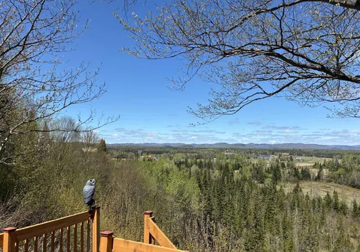 Maison à vendre - 1028 Rg de la Montagne, Saint-Raymond, G3L 2P7