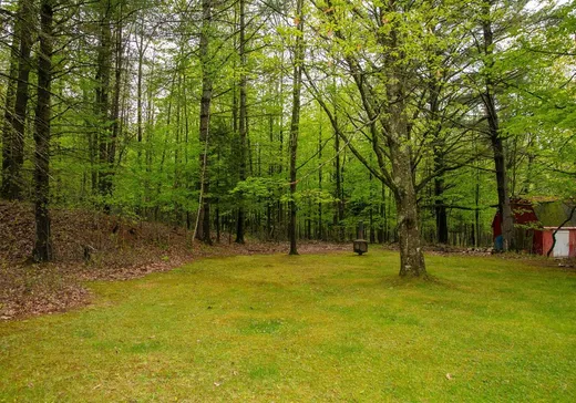 House for sale - 46 Rue Atto, Lennoxville, J1M 2A2