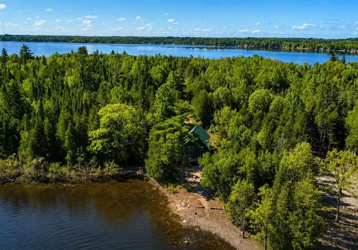 Maison à vendre - 77 Île Leblanc, Chapeau, J0X 1M0