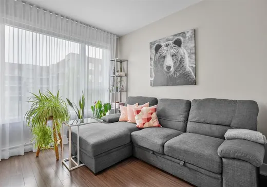 Condo à vendre - 1475 Rue Gaston-Véronneau, App. 218, Longueuil, J4N 0H2