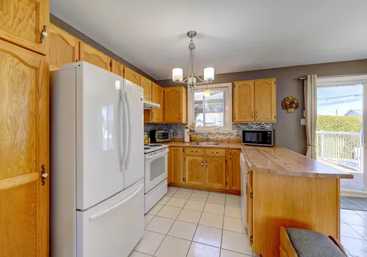 House for sale - 25 Rue de Beauport, Montreal (LaSalle), J6R 2J7