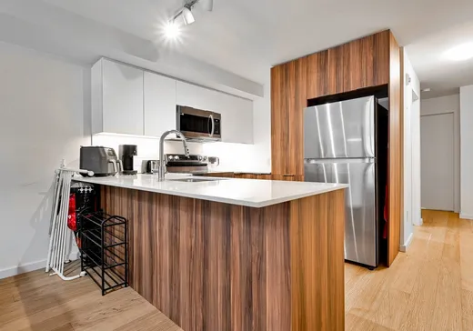 Condo à vendre - 3620 Rue Ste-Catherine E., Montréal (Mercier/Hochelaga-Maisonneuve), H1W 0C1
