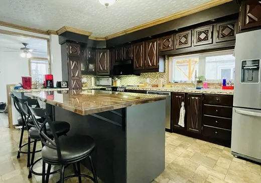 Maison à vendre - 1100 Rue Charbonneau, Rouyn-Noranda, J9X 3T4