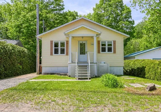 Maison à vendre - 190 Ch. de la Petite-Mékinac, Herouxville, G0X 3H0