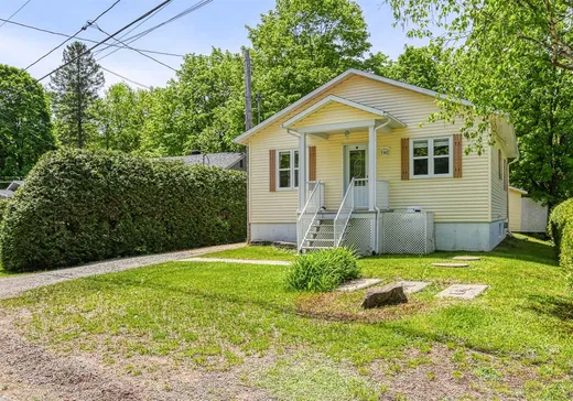Maison à vendre - 190 Ch. de la Petite-Mékinac, Herouxville, G0X 3H0