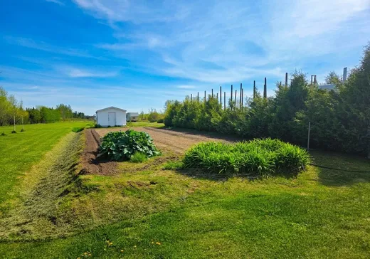 House for sale - 738 Rg Rangs-8-et-9 E., Sainte-Gertrude-de-Manneville, J0Y 2L0
