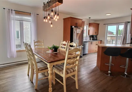 House for sale - 13 Rue de l'Abbé-Duguay, Victoriaville, G6S 1M4