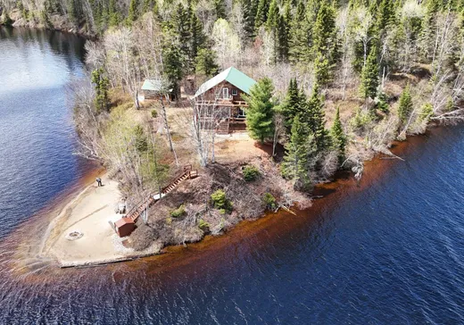 Maison à vendre - 1 Rvoir Blanc McTavish, La Tuque, G9X 2H6