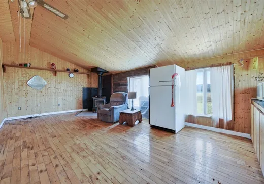 Maison à vendre - 586 Rg de la Grande-Terre, St-Francois-Du-Lac, J0G 1M0