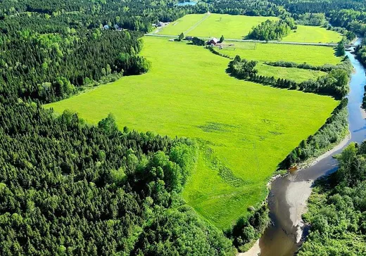 Hobby Farm for sale - 140Z 8e Rang, Saint-Luc-de-Bellechasse, G0R 1L0