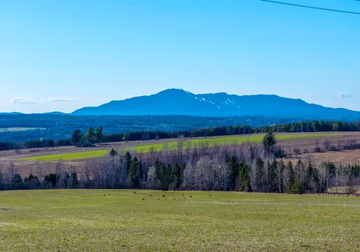 Fermette à vendre - 805Z Ch. de la Montagne, Ste-Catherine-De-Hatley, J0B 1W0