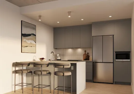 Maison à vendre - 515 Rue Heriot, App. A-105, Drummondville, J2C 1K1