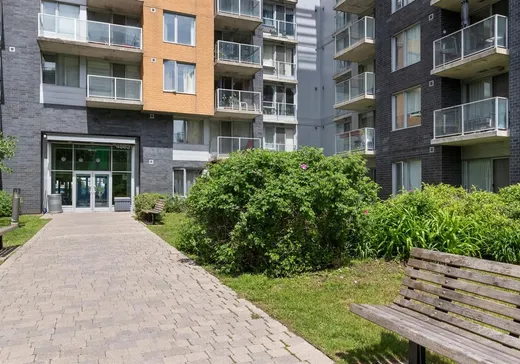 Condo à vendre - 4885 Boul. Henri-Bourassa O., App. 509, Montréal (Saint-Laurent), H4L 0A5