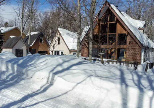 House for sale - 186 Rue de la Pervenche, St-Donat-De-Montcalm, G0K 1L0