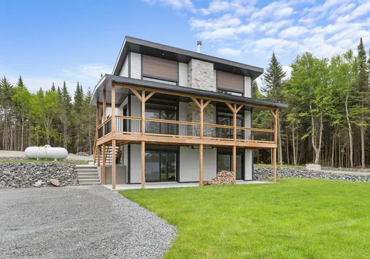 Maison à vendre - 316 Ch. du Lac-Laflamme, Sainte-Euphémie, G0R 2Z0