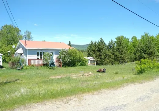 Maison à vendre - 720 Rue du Lac-Vert, Riviere-A-Pierre, G0A 3A0