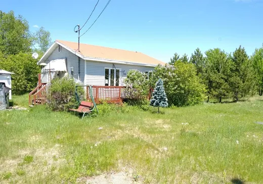 Maison à vendre - 720 Rue du Lac-Vert, Riviere-A-Pierre, G0A 3A0