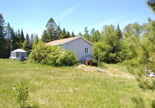 Maison à vendre - 720 Rue du Lac-Vert, Riviere-A-Pierre, G0A 3A0