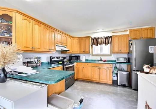 Maison à vendre - 271 Rg Sud-Est, St-Adelphe-De-Champlain, G0X 2G0