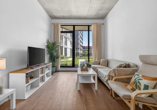 Condo à vendre - 1150 Boul. René-Lévesque E., App. 102, Montréal (Centreville), H2L 0J6